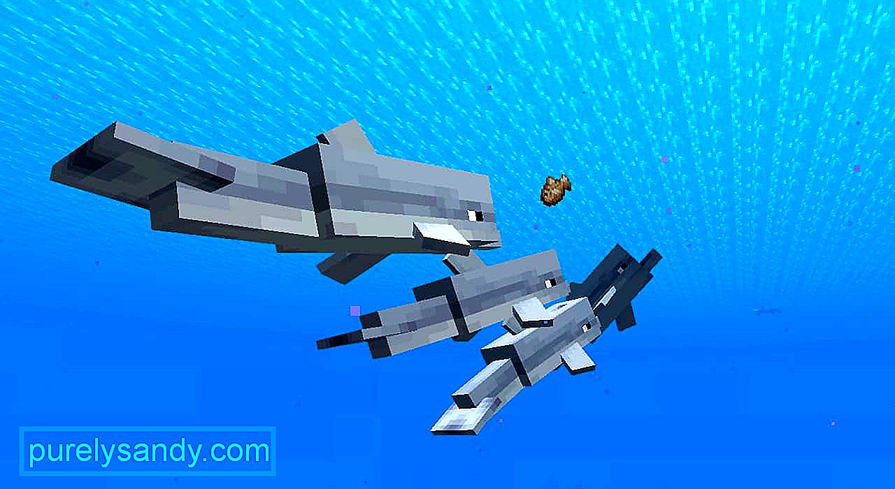Minecraft Dolphin Despawn What39s The Reason 5198